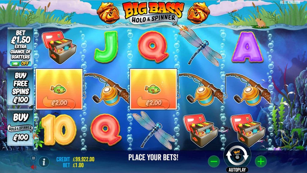 Bass Win Review 2025